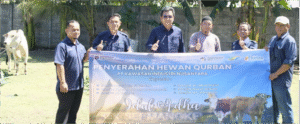 CutPaste_2026-05-26_17-05-15-283